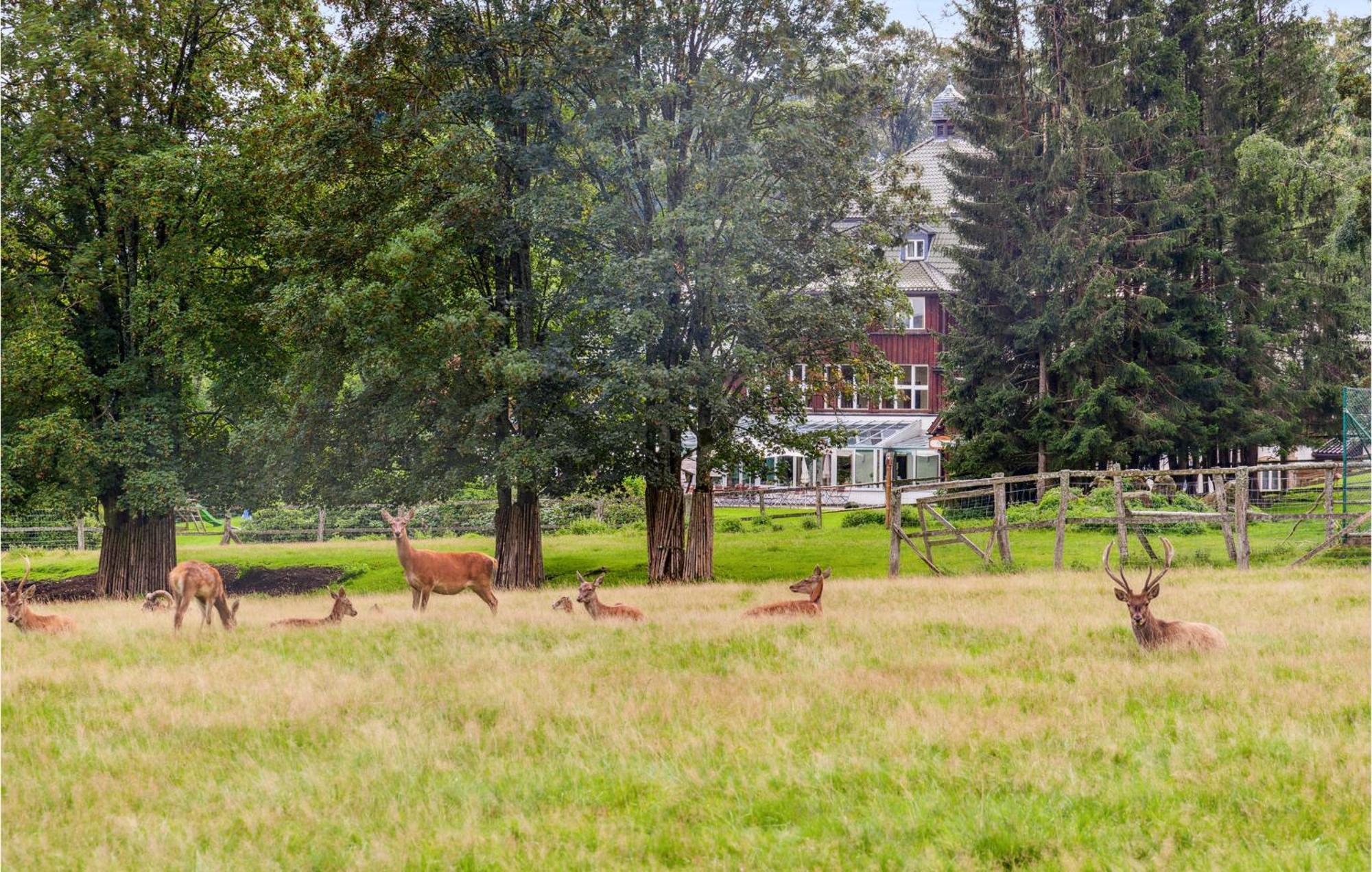 Stunning Home In Oberharz With Wifi Benneckenstein Esterno foto